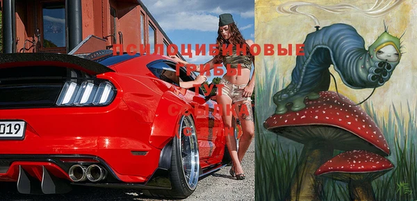apvp Вяземский