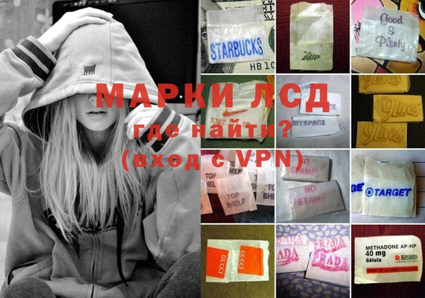 apvp Вяземский