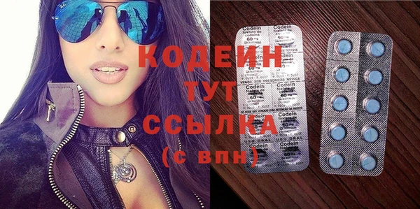 apvp Вяземский