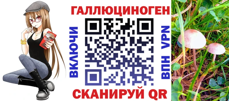 Галлюциногенные грибы Psilocybine cubensis  Купить закладки  Тулун 